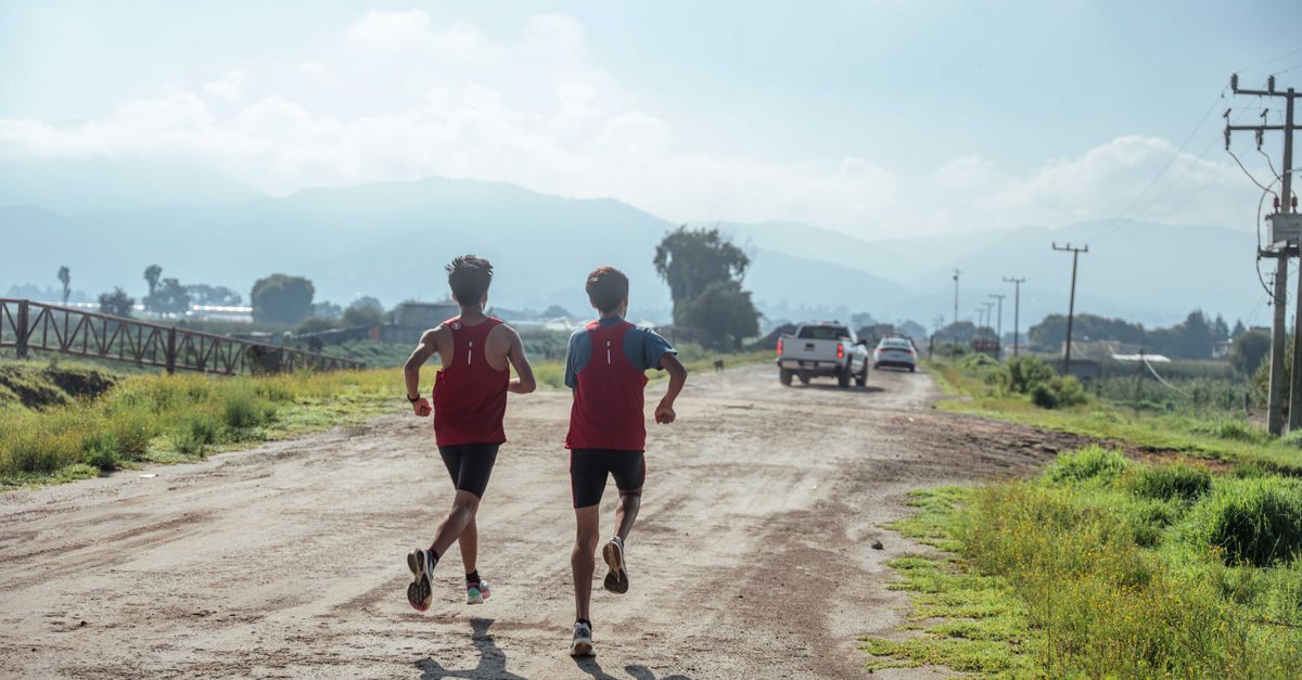 découvrez tout sur le running : conseils, entraînements, astuces et matériel pour améliorer votre course à pied et rester en forme.