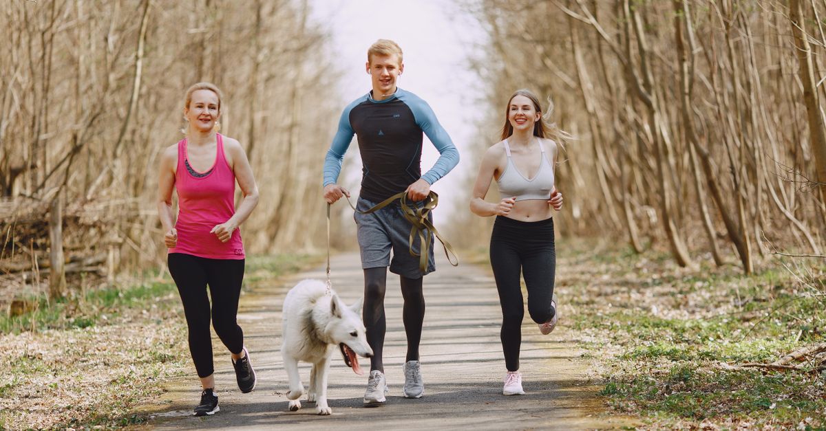 découvrez les bienfaits de courir avec votre chien : conseils, sécurité et plaisir partagé pour une activité sportive saine et conviviale.