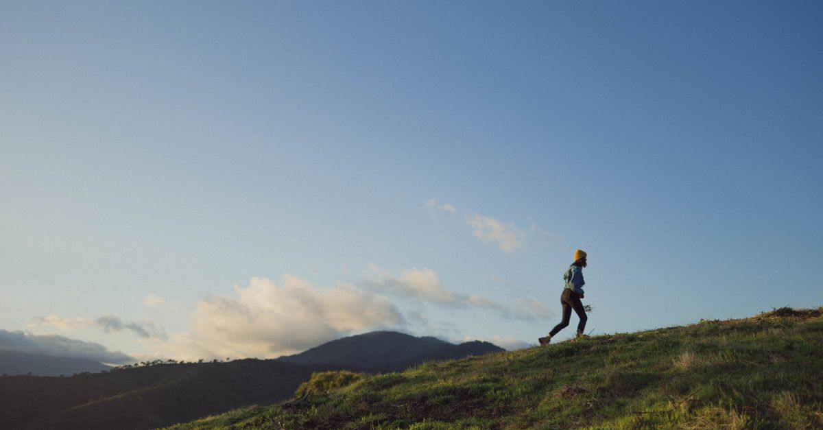 découvrez les meilleures techniques de course en montagne pour améliorer votre performance, endurance et sécurité sur les sentiers escarpés.