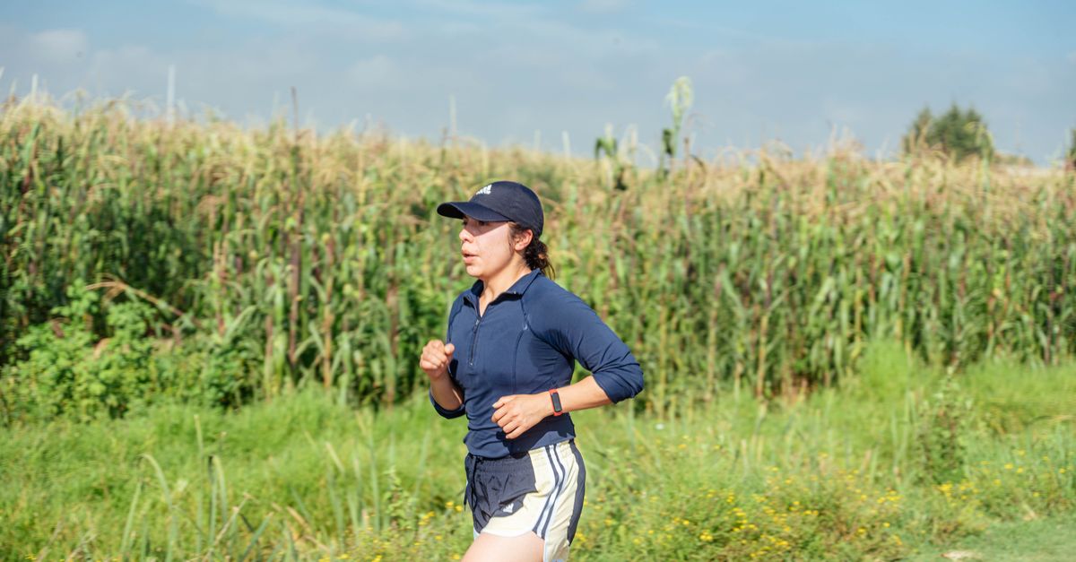 conseils pour adapter votre entraînement de course à pied en fonction des conditions météorologiques afin d'optimiser vos performances et votre confort.