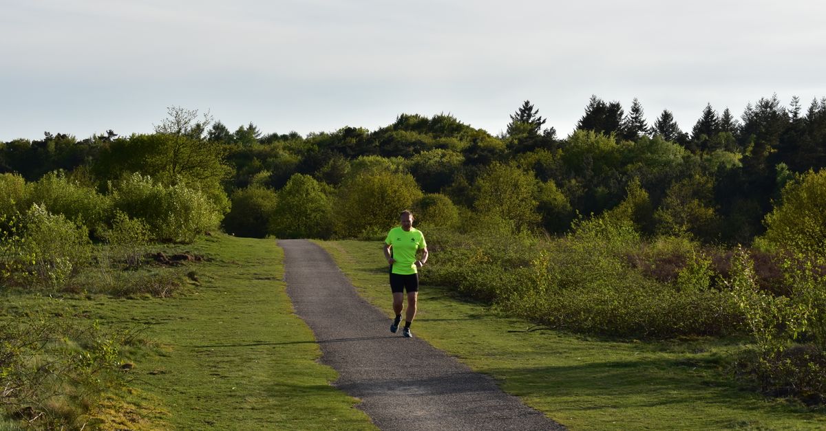 découvrez le trail running, une discipline d'endurance en pleine nature alliant course à pied et paysages sauvages pour une expérience sportive unique et revitalisante.