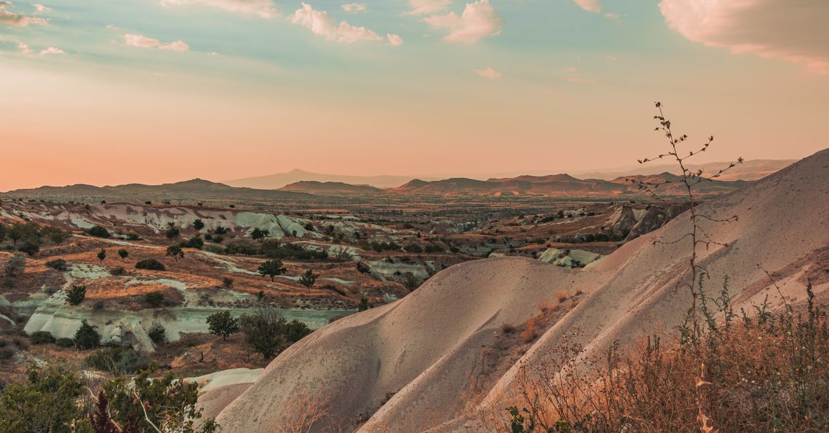 découvrez notre terrain naturel, un espace préservé offrant une beauté authentique et un environnement idéal pour vos projets en harmonie avec la nature.