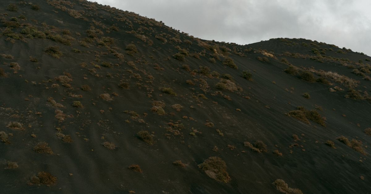 découvrez les caractéristiques uniques d'un terrain naturel, son impact sur l'environnement et les meilleures pratiques pour son utilisation durable.