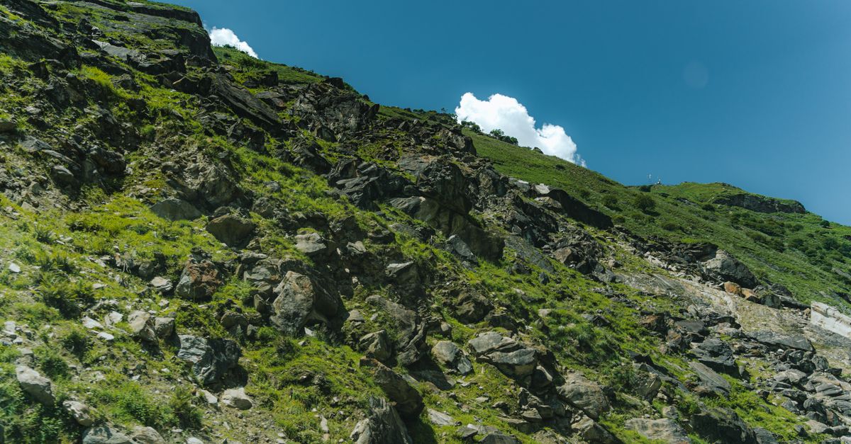 découvrez le terrain naturel, un espace préservé où la nature s'exprime librement, offrant un environnement authentique et écologique.