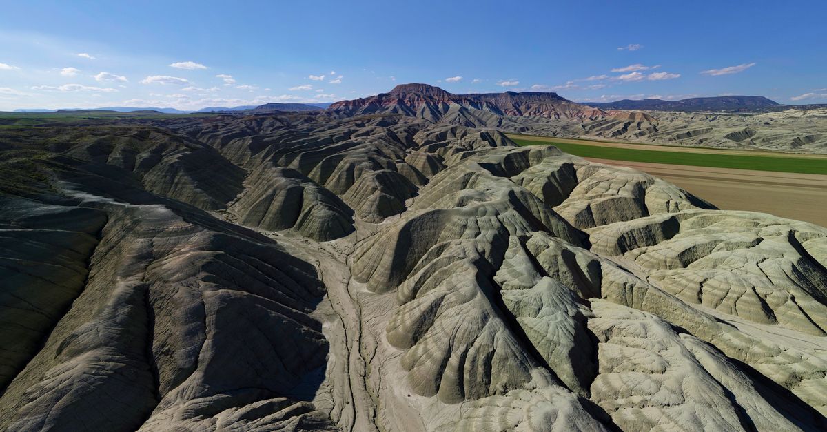découvrez notre terrain naturel, un espace préservé offrant un environnement authentique et propice à la biodiversité.