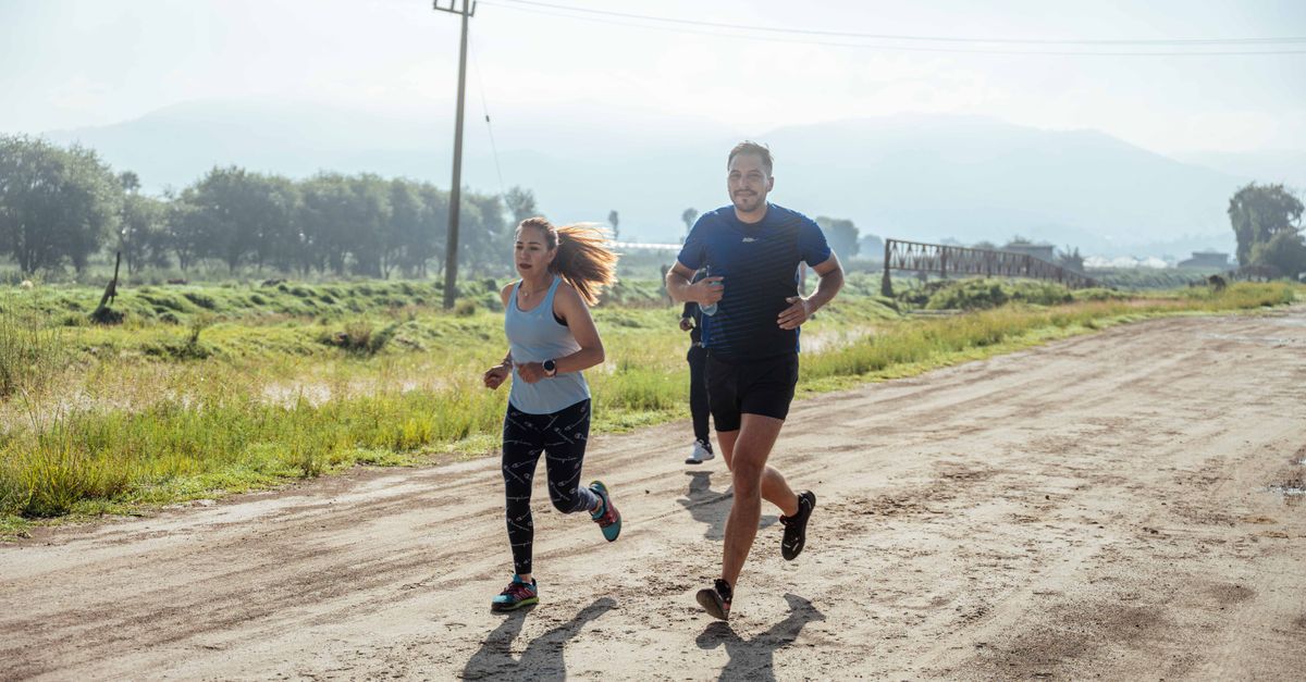 découvrez le trail running, une discipline de course à pied en pleine nature alliant endurance, aventure et paysages magnifiques. conseils, équipements et techniques pour tous les passionnés.